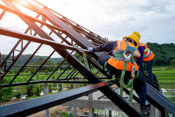Best New Roof Installation  in Wesley Chapel, FL