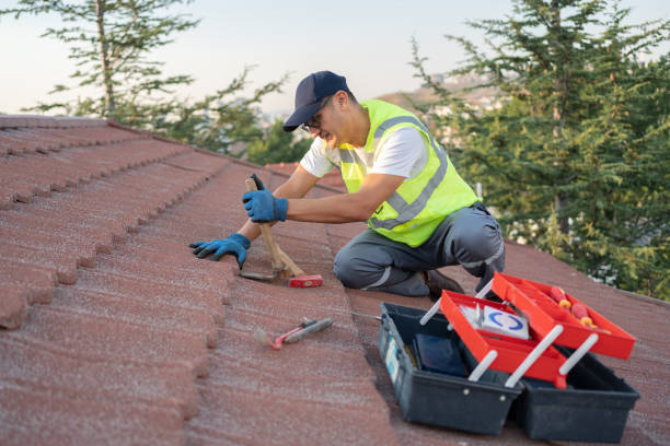 Quick and Trustworthy Emergency Roof Repair Services in Wesley Chapel, FL
