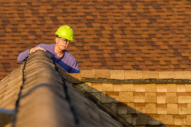 Best Storm Damage Roof Repair  in Wesley Chapel, FL